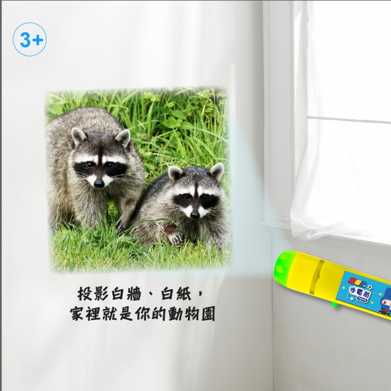 手電筒投影動物圖鑑百科